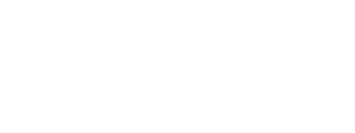 logo-shadow