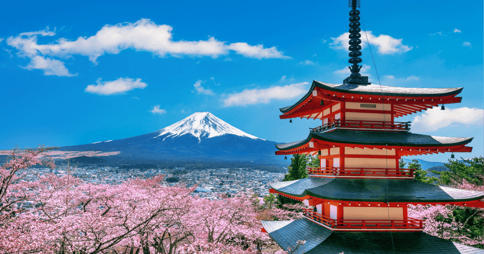Discovering the Most Important Things with the Ikigai Art of Japan